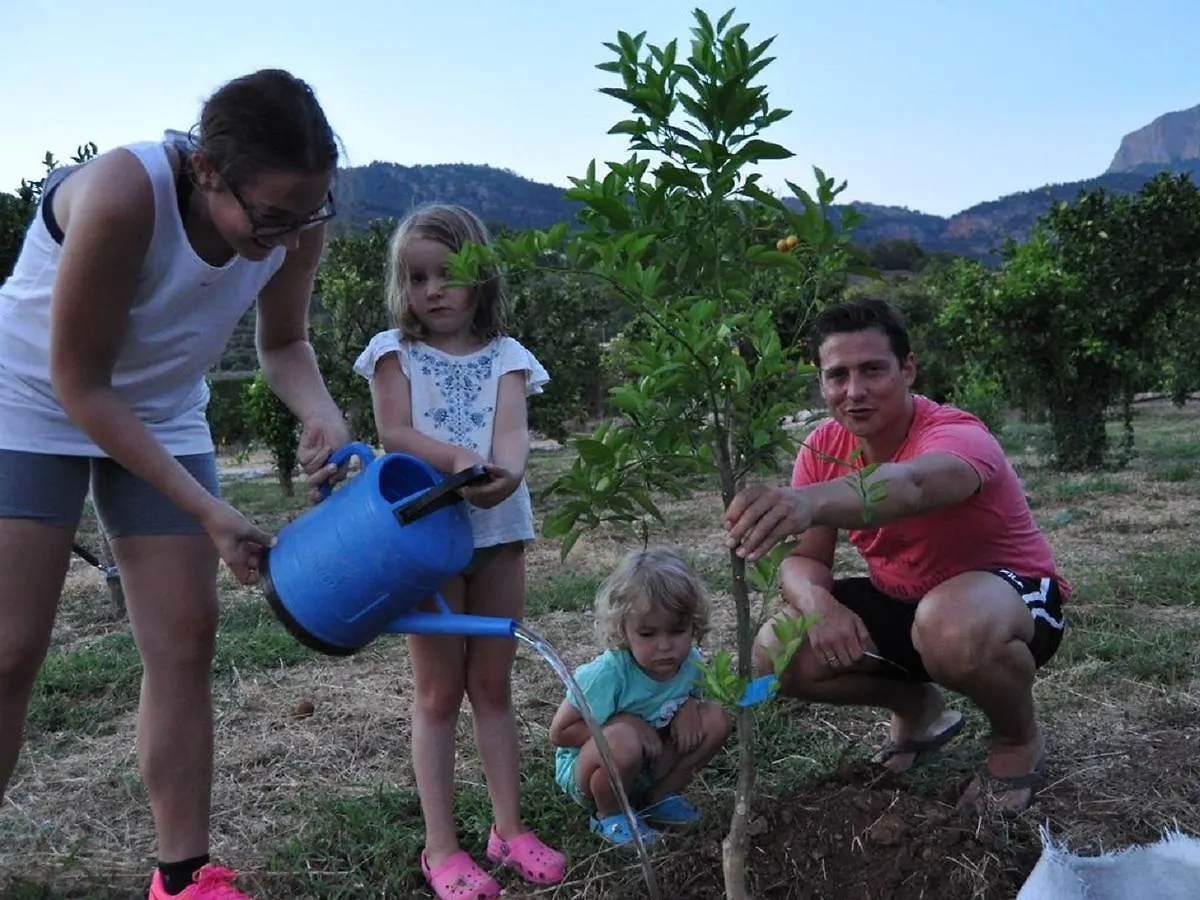 Can Sivella Groc - Holiday Home In Sóller
