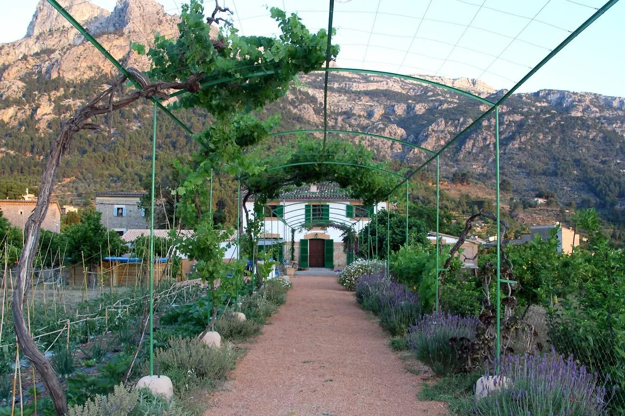 Can Sivella Groc - Holiday Home In Sóller