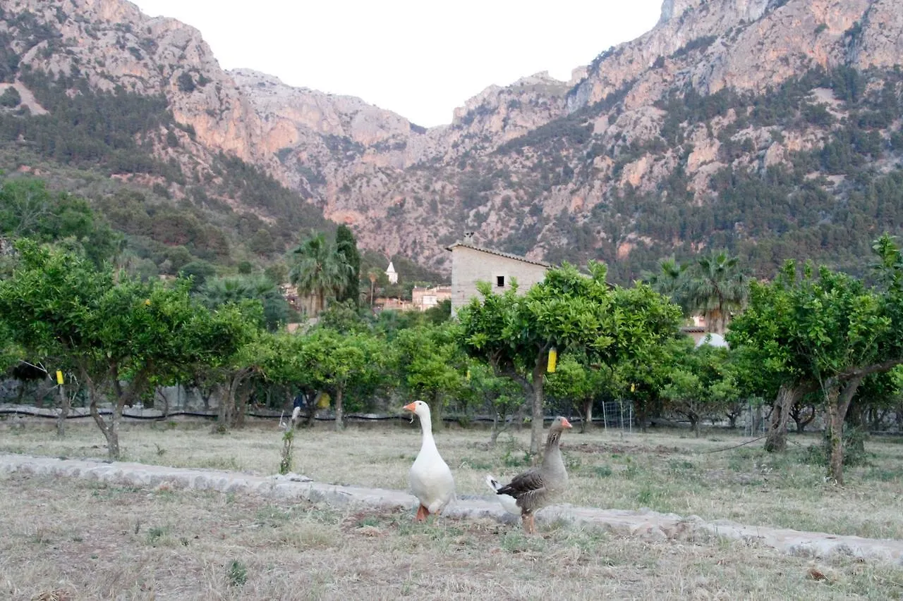 Can Sivella Groc - Holiday Home In Soller